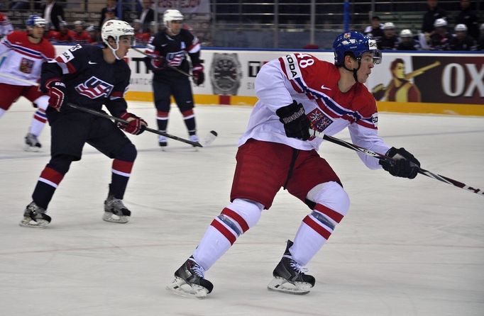 MS 2014, Česko - USA: Tomáš Hertl