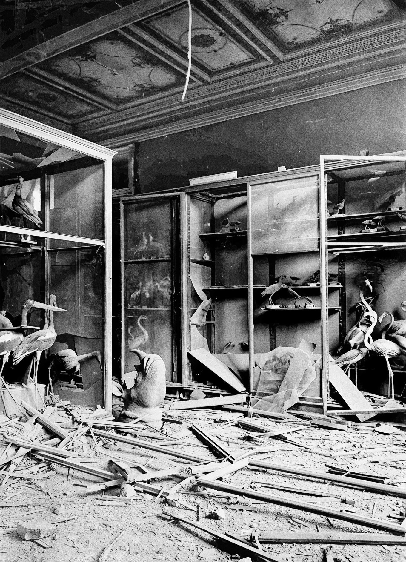 Jednorázové užití / Fotogalerie / Uplynulo 130 let od otevření Národního muzea v Praze