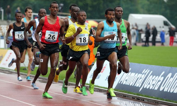 Atletka, Memoriál Josefa Odložila 2013: 1500 m, vítězný Soresa Fida (v modrém)