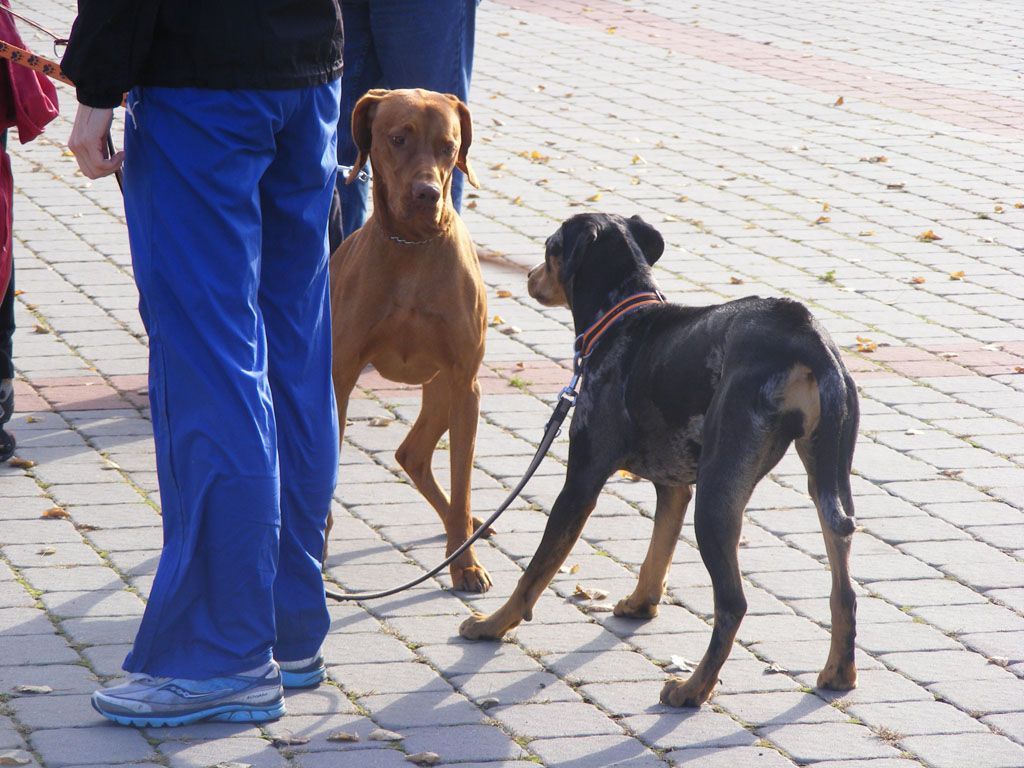 Dokumentujeme.cz: Jak si čtenáři užívali podzimní volno