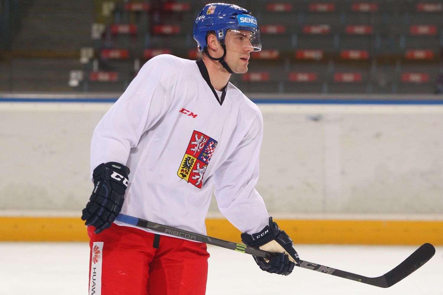 Sraz hokejové reprezentace před Karjalou 2015: Rostislav Olesz