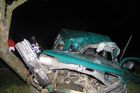 Mladík v citroënu narazil do stromu. Byl na místě mrtvý