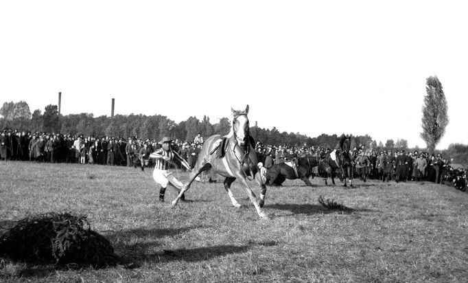 Závodníci během dostihu Velká pardubická, 20. října 1946, Pardubice. Kůň na trati při překonávání překážky, v pozadí přihlížející dav.