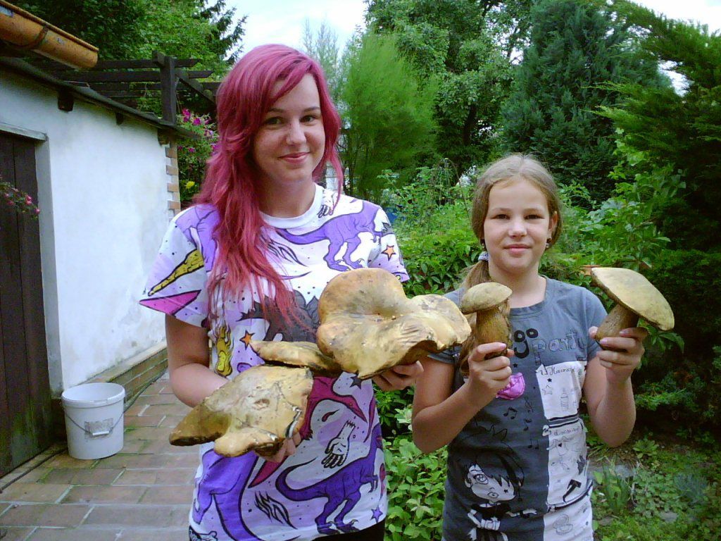 Fotosoutěž: Houby 2002 (srpen) xxx Jitka Skopalová xxx !!!Nepoužívat v článcích!!!