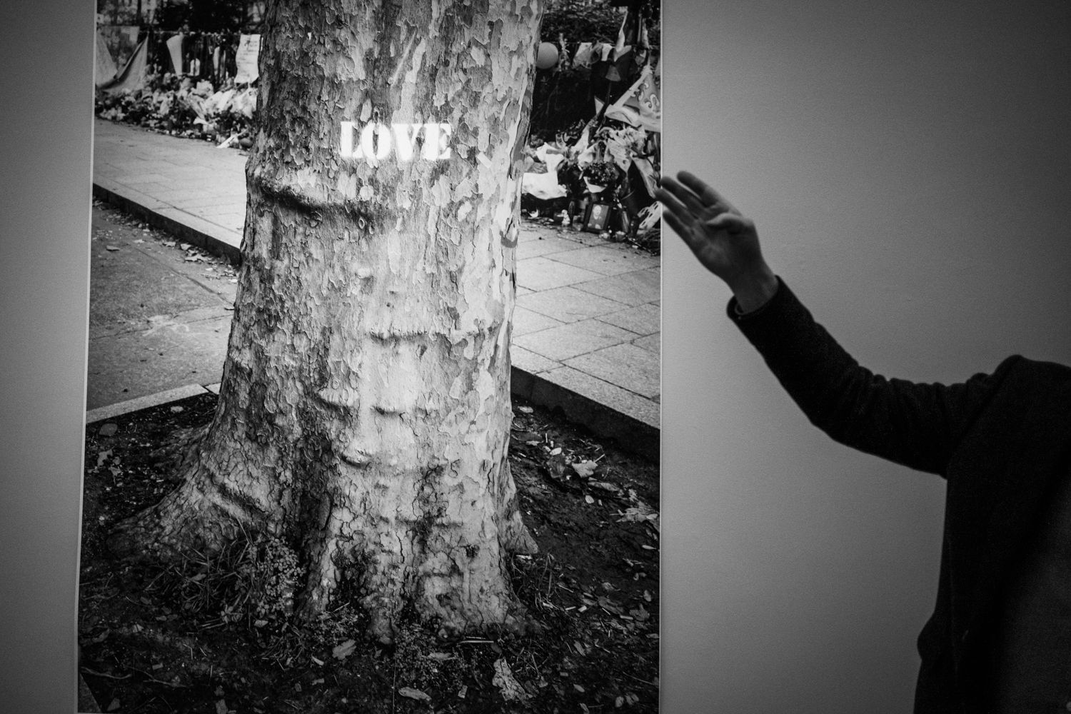 Výstava Juergena Tellera v Rudolfinu