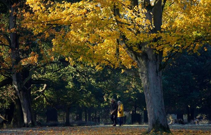 Na procházce v parku Dunham Massey v britském Altrinchamu.