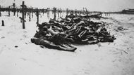 Za hladomor mohly mimo jiné také nereálné cíle, jichž se sovětská vláda snažila během první pětiletky v letech 1928 až 1932 dosáhnout. Na snímku jsou oběti ukrajinského hladomoru.