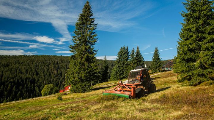 České hory čeká letní počasí. Na Šumavě může být v neděli až 25 stupňů; Zdroj foto: Archiv KRNAP