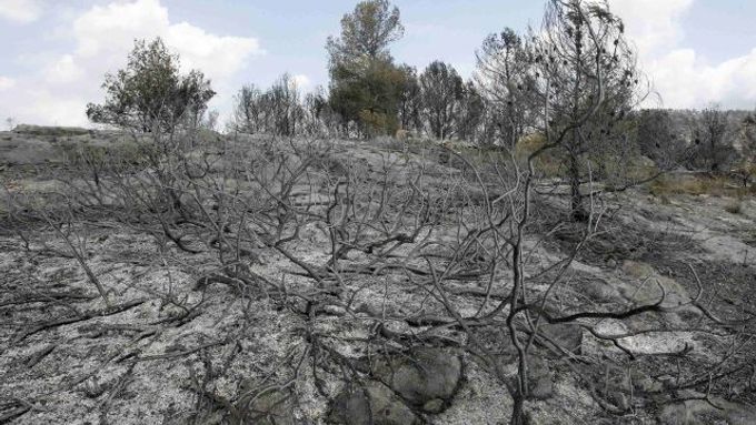 Španělsko a Francii ničí velké lesní požáry