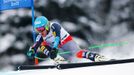 MS ve sjezdovém lyžování 2013, super-G muži: Ted Ligety