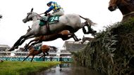 Vrcholem populárního dostihového festivalu bude v sobotu 175. ročník závodu Grand National, tedy Velké národní steeplechase.