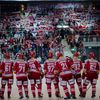 TELH, Třinec-Brno: hráči Třince slaví s fanoušky