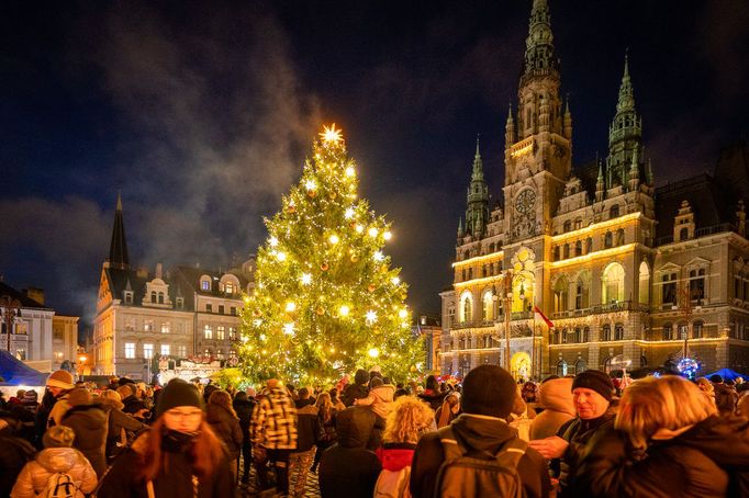 Pohled na vánoční strom v Brně na náměstí Svobody. 24. 11. 2023