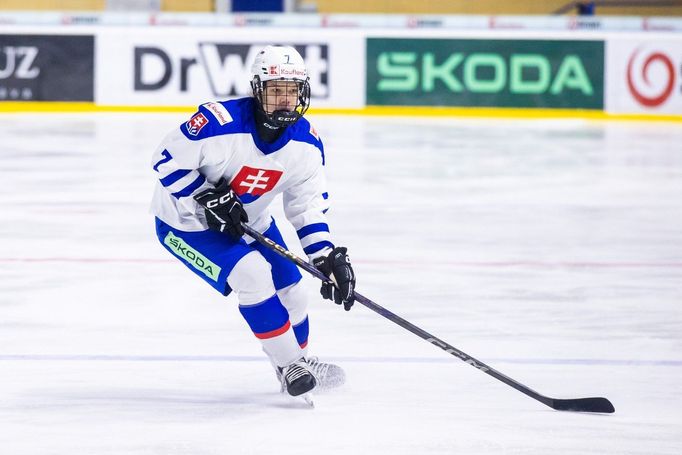 Slovenská hokejistka Nela Lopušanová