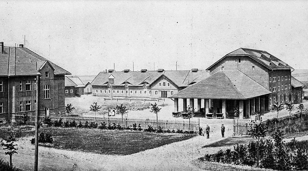 Psychiatrická nemocnice Bohnice, Bohnice, Ústav pro choromyslné v Bohnicích, Praha, historie, výročí, Domácí