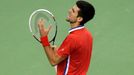 Davis Cup, finále Srbsko-ČR: Novak Djokovič