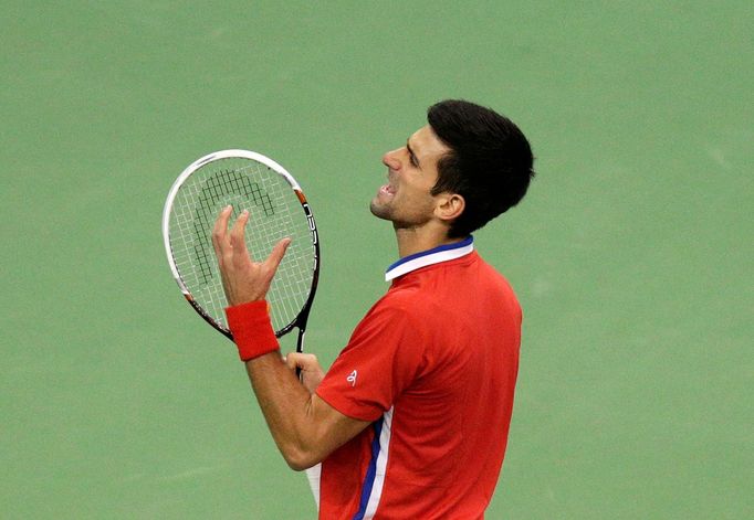 Davis Cup, finále Srbsko-ČR: Novak Djokovič