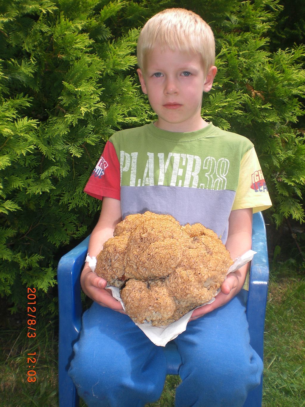 Fotosoutěž: Houby 2002 (srpen) xxx pí. Vyhlídalová xxx !!!Nepoužívat v článcích!!!
