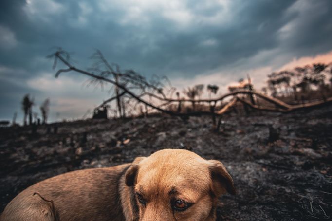 Ukázka ze knihy "Jiná krása" od fotografa Davida Těšínského, kterou vydal vlastním nákladem v roce 2022.