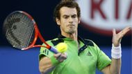 ... a pětka a letošní finalista Australian Open Brit Andy Murray, jejichž týmy figurují mimo Světovou skupinu.