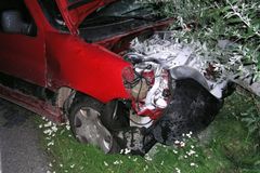 Citroen vjel do stáda divočáků a skončil na svodidlech