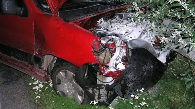 Auto srazilo šest divočáků
