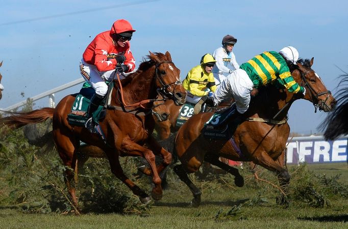 Dostihy, Velká národní:  Colbert Station (ž. AP McCoy ) - pán na překážce Chair