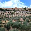 Izrael, Jeruzalém, Akra, cestopis