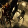 Dead Space