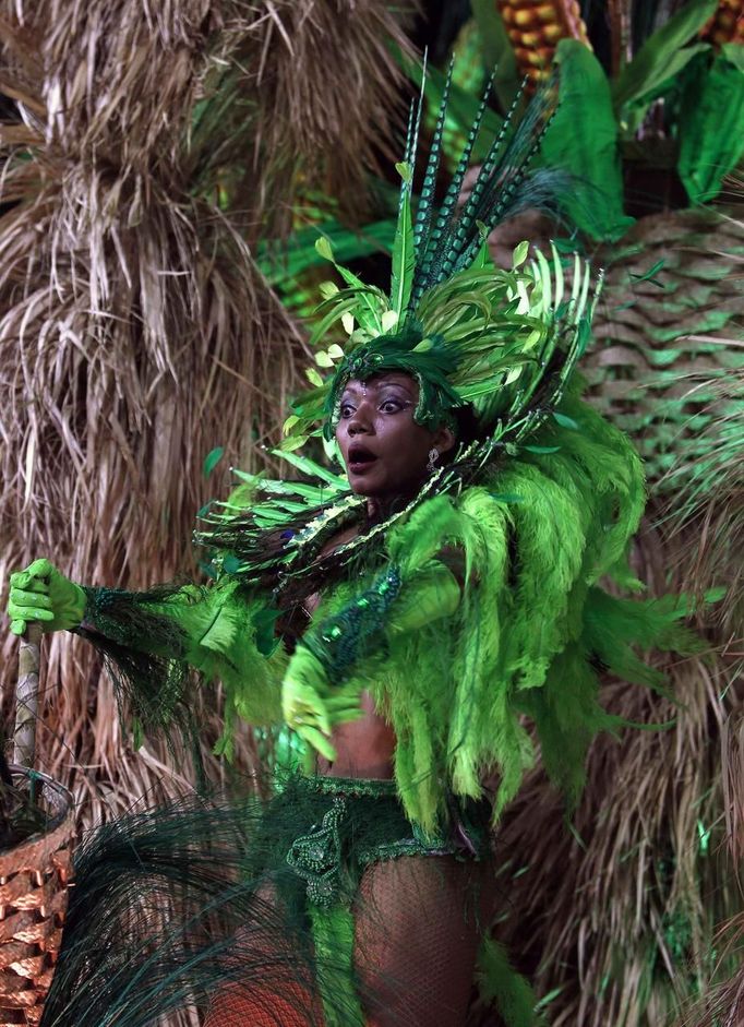 A reveller from the Beija Flor samba school participates during the annual carnival parade in Rio de Janeiro's Sambadrome, February 11, 2013. REUTERS/Pilar Olivares (BRAZIL - Tags: SOCIETY) Published: Úno. 12, 2013, 4:10 dop.