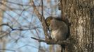 Comedy Wildlife Photography Awards - ukázky snímků z ročníku 2022