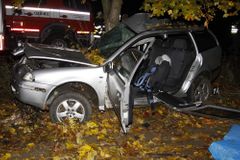 Řidič narazil do stromu, na místě zemřel