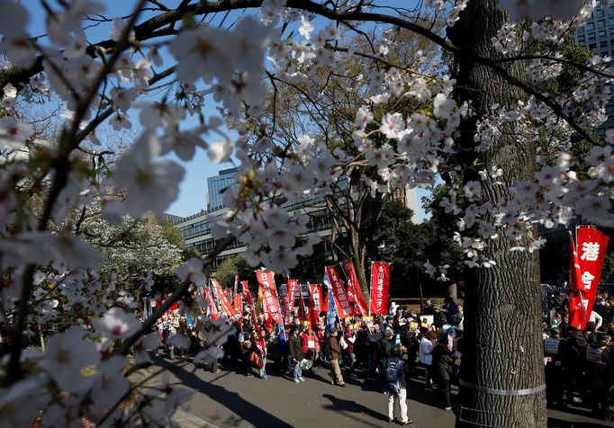 Hanami, Japonsko