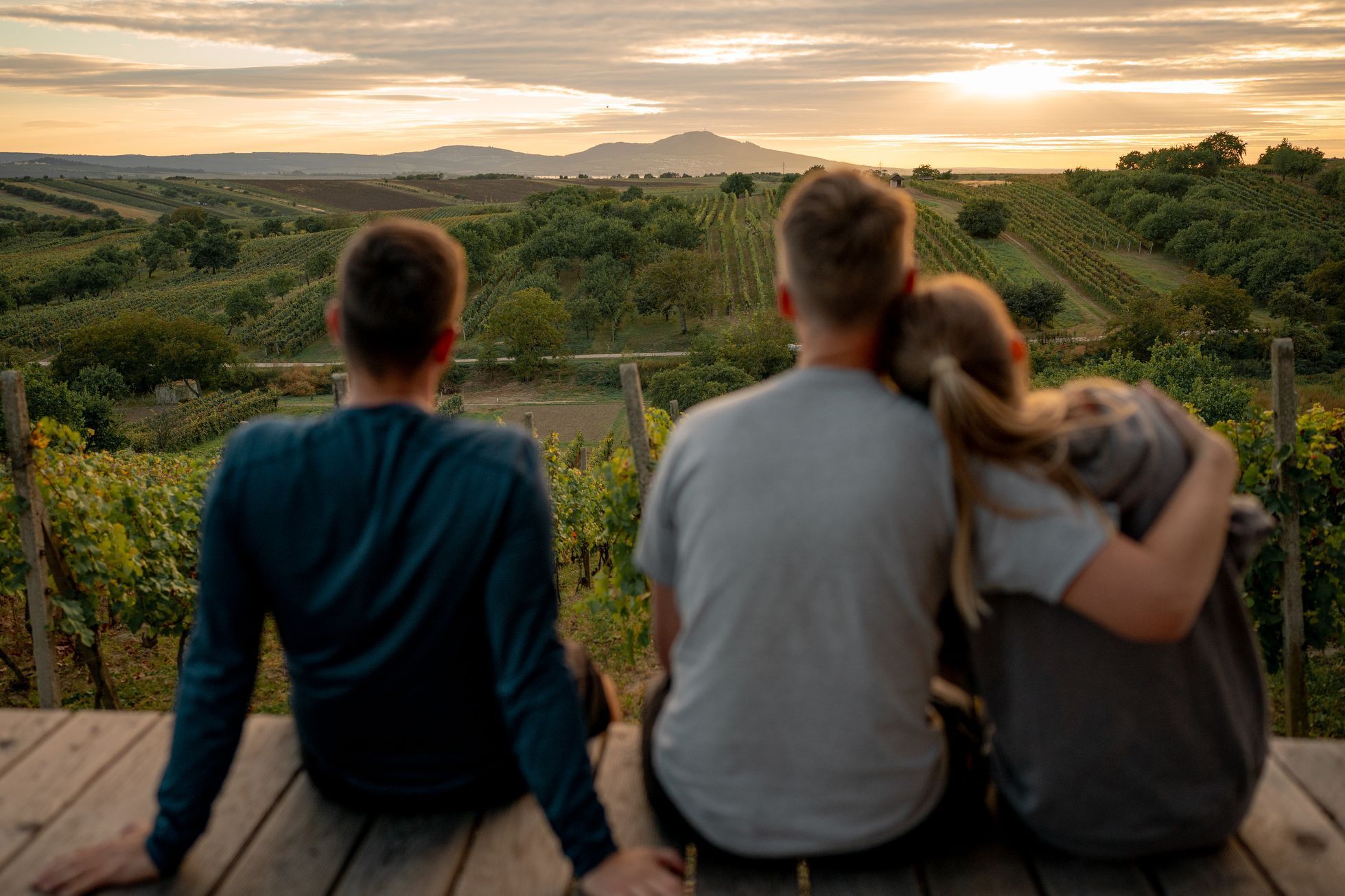 Glamping Ve vinohradě