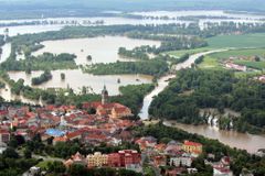 Komáří kalamita ve středních Čechách po povodni nebude