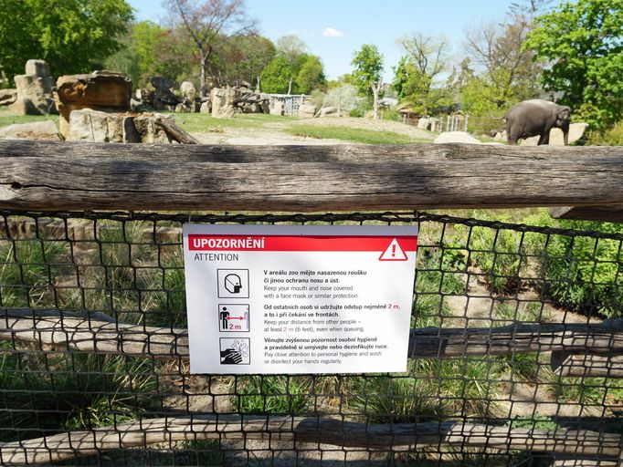 Pražské jaro v rouškách. První den v znovu otevřené zoo, lidé v botanické zahradě