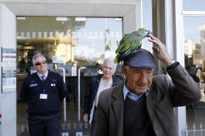 Fotografie čekajících lidí občas obohatily úsměvně laděné výjevy, jako je například tento, zachycující kyperského seniora, který k bance Bank of Cyprus dorazil se svým papouškem.