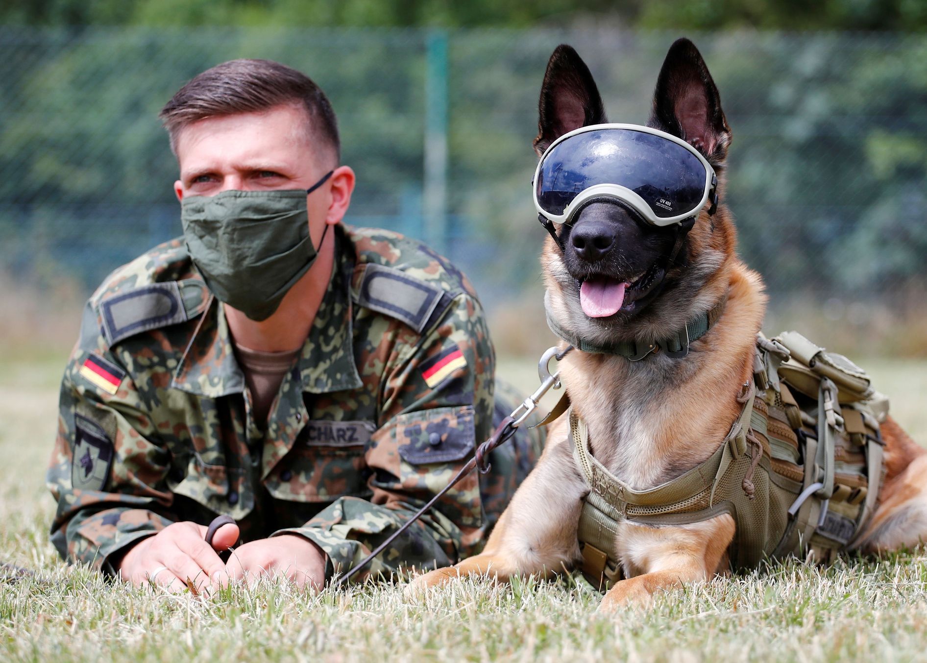 služební pes německo koronavirus Bundeswehr