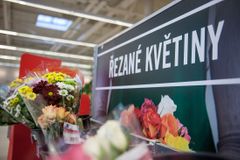 Ceny řezaných květin v době pandemie vzrostly až o desítky procent