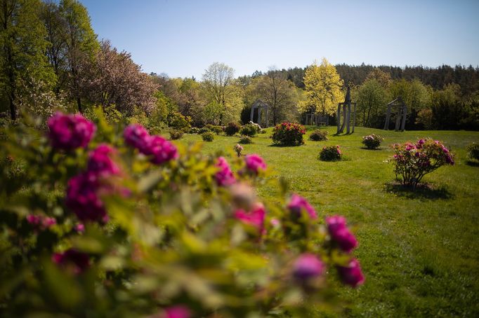 Botanická zahrada v Praze.