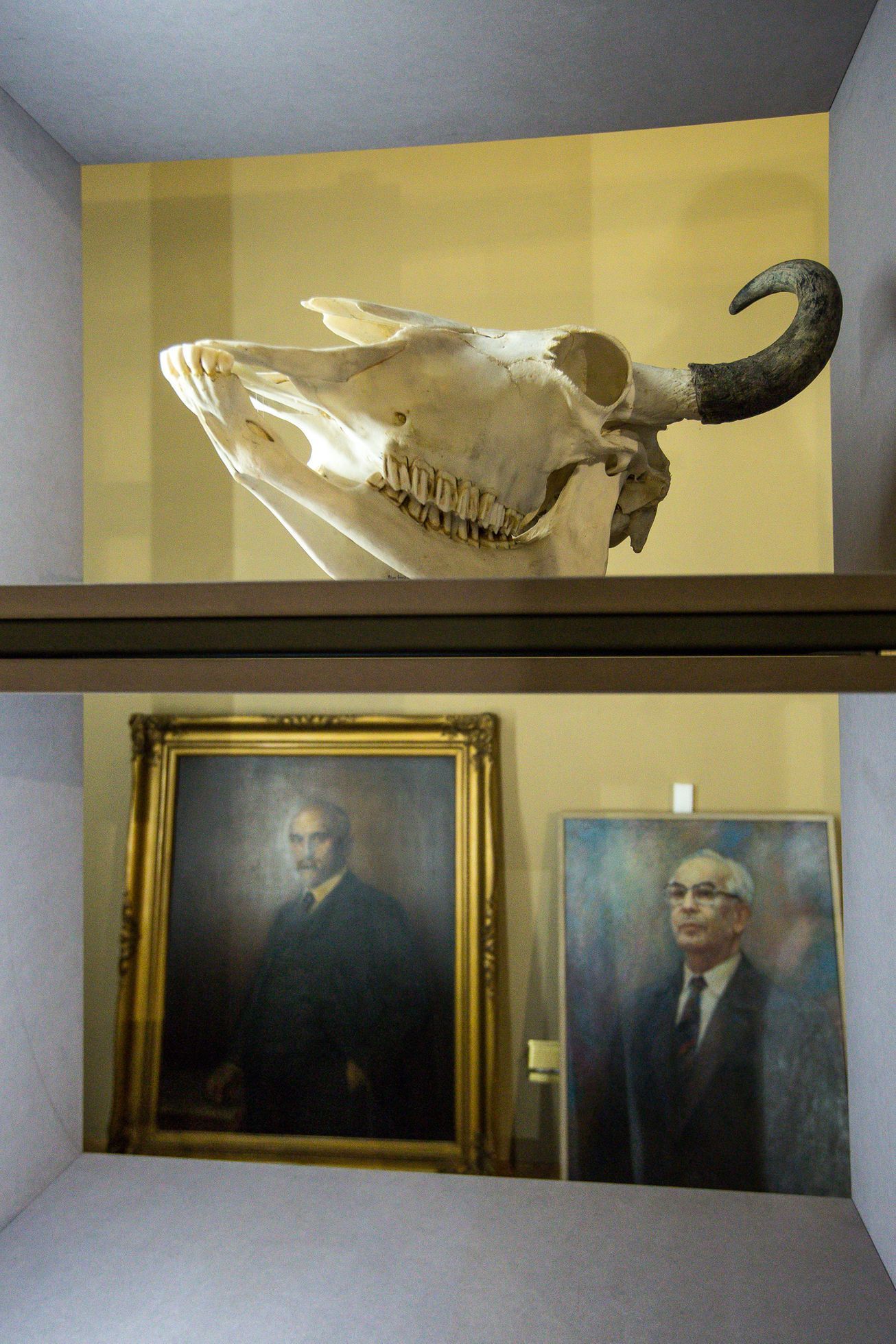 Národní Muzeum před otevřením, rekonstrukce, 2018, 11. říjen