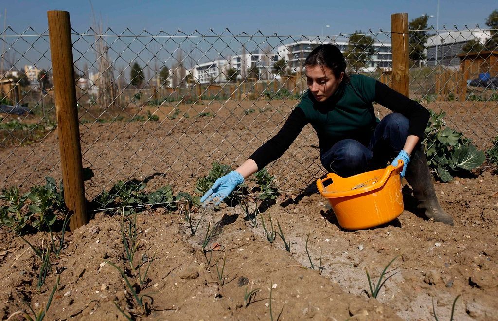 Portugalsko mění vztah k půdě. Podporuje zemědělství