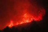 Hořící borovicový les nedaleko Marseille.