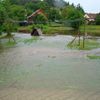 Stoupací voda - osada Brdečný, okres Benešov