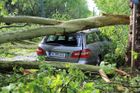 Vichřice trápí Česko: Víte, co dělat, když vám spadlý strom rozdrtí auto?