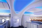 Designéři, kteří pro Boeing 787 vymýšleli interiér, brali v potaz fakt, že rozhodující je první dojem. Navrhli proto větší a víc otevřený vstupní prostor s dominantními sloupy, které okamžitě přinutí člověka zvednout hlavu.