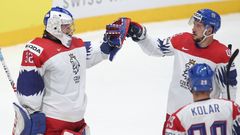 Česká radost v zápase Česko - Švýcarsko na MS 2019
