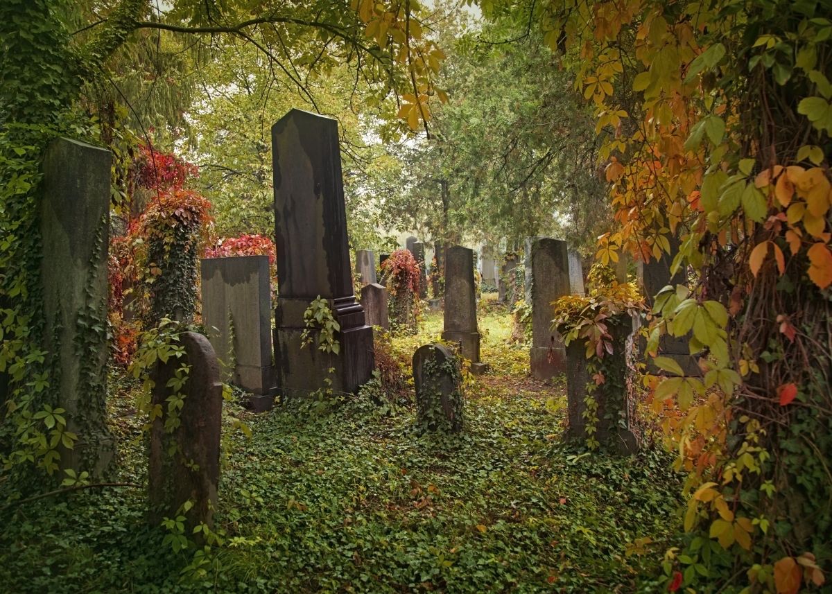 Židovský hřbitov, Vídeň