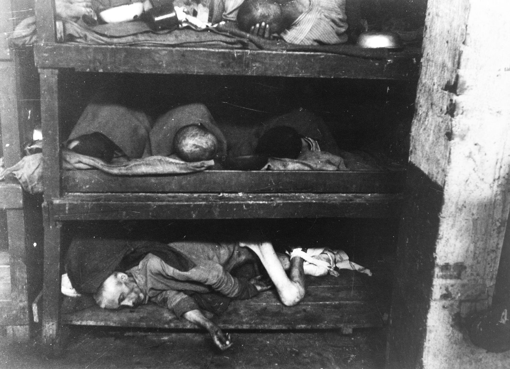 Jednorázové užití / Fotogalerie / Osvobození koncentračního tábora Buchenvald / USHMM