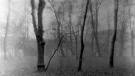 Josef Sudek: Podzimní ostrov